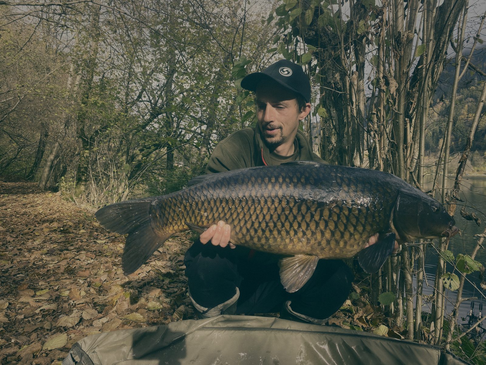 Styria Carp