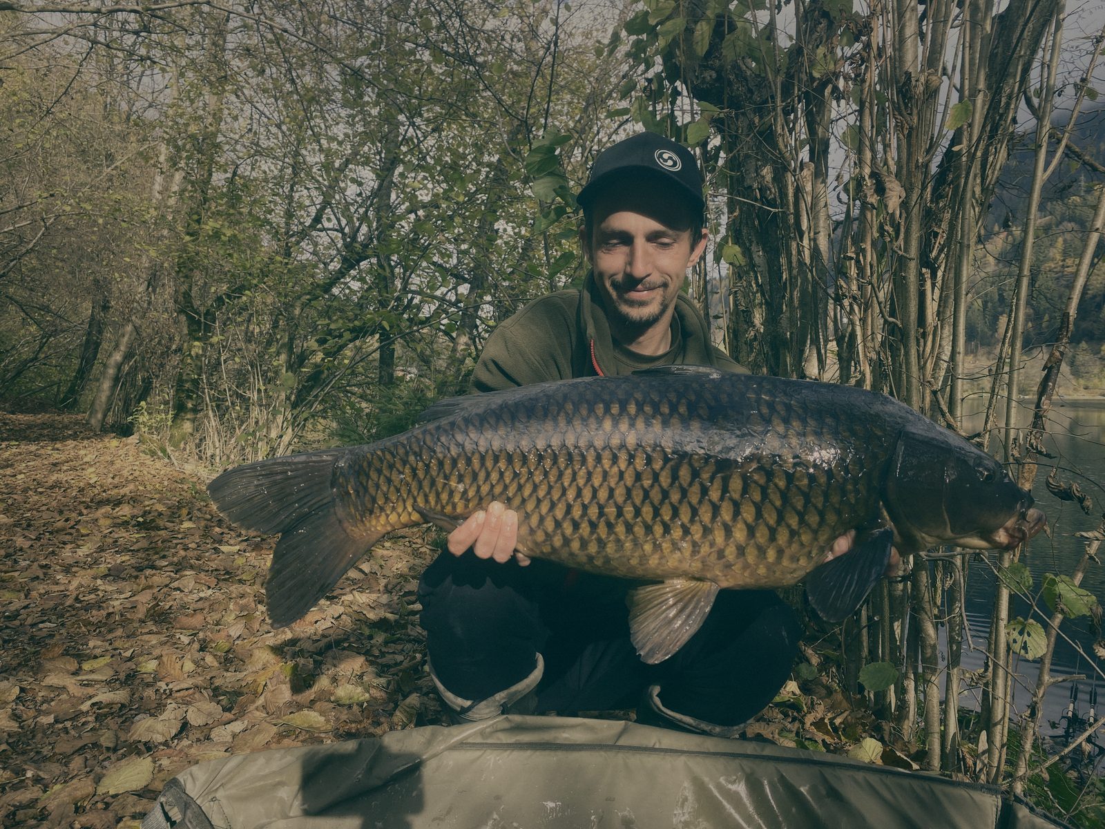 Styria Carp