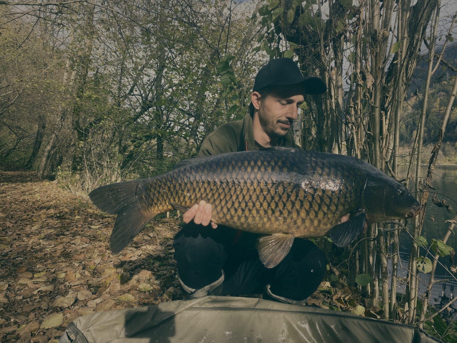 Styria Carp