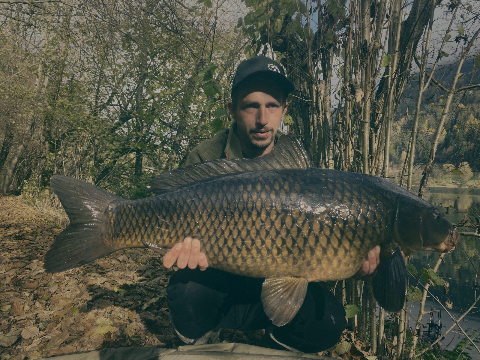 Styria Carp