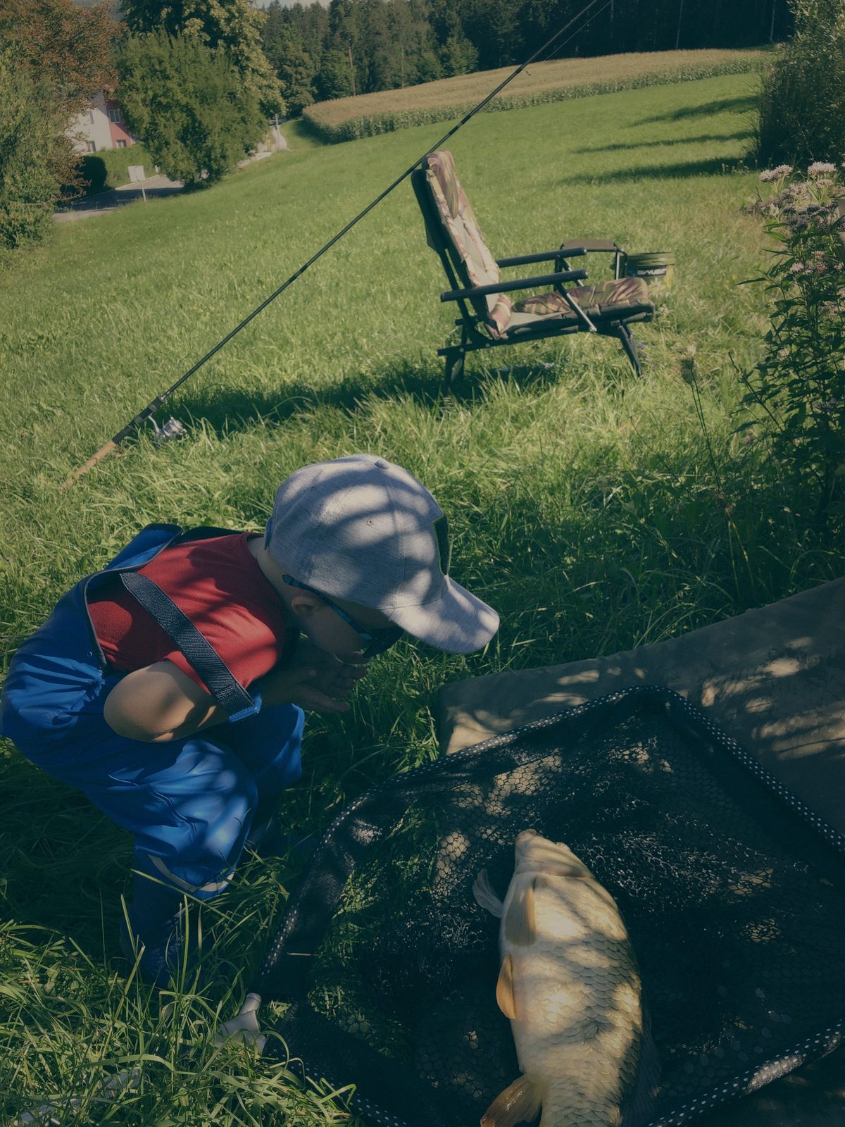 Styria Carp