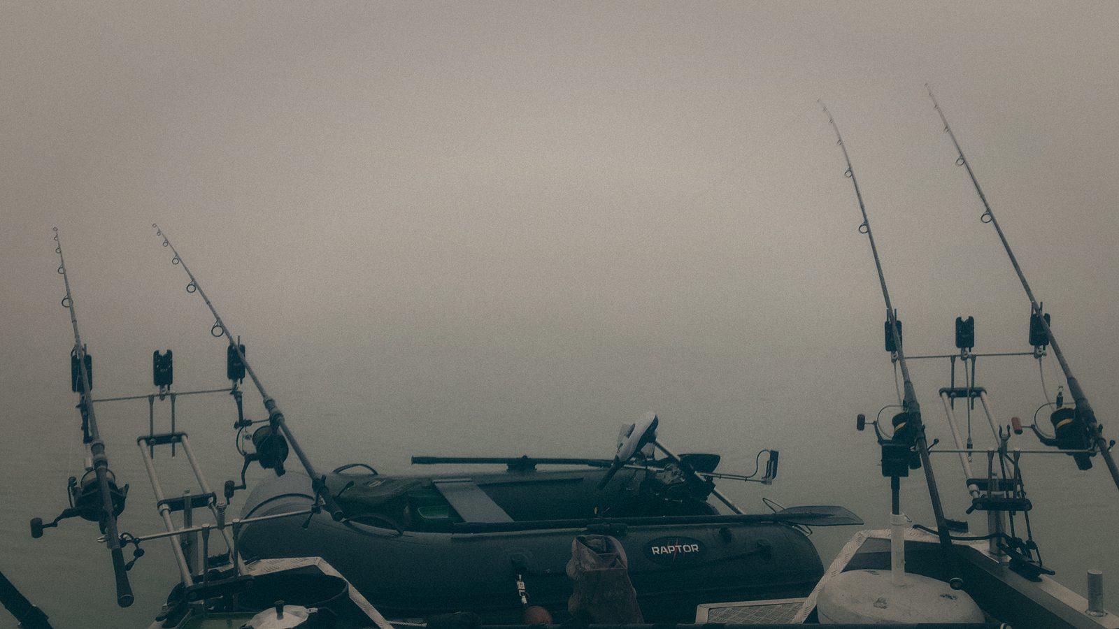Styria Carp