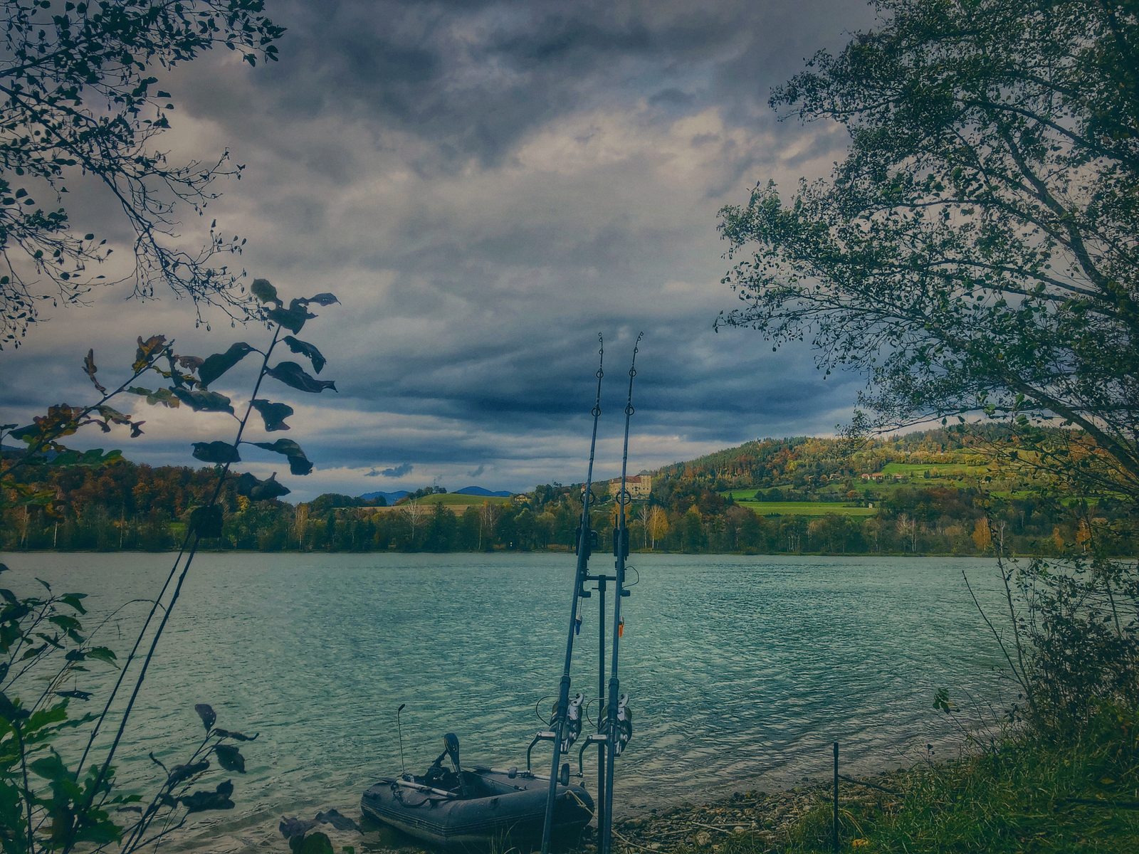 Styria Carp