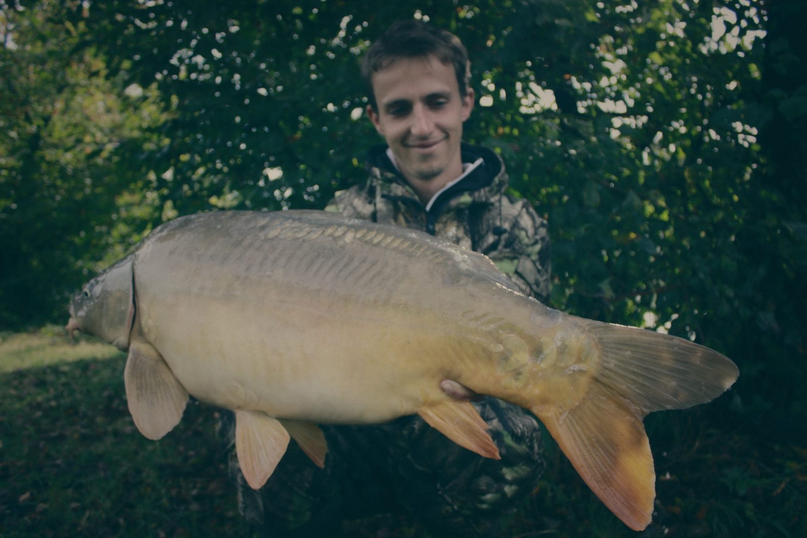 Styria Carp