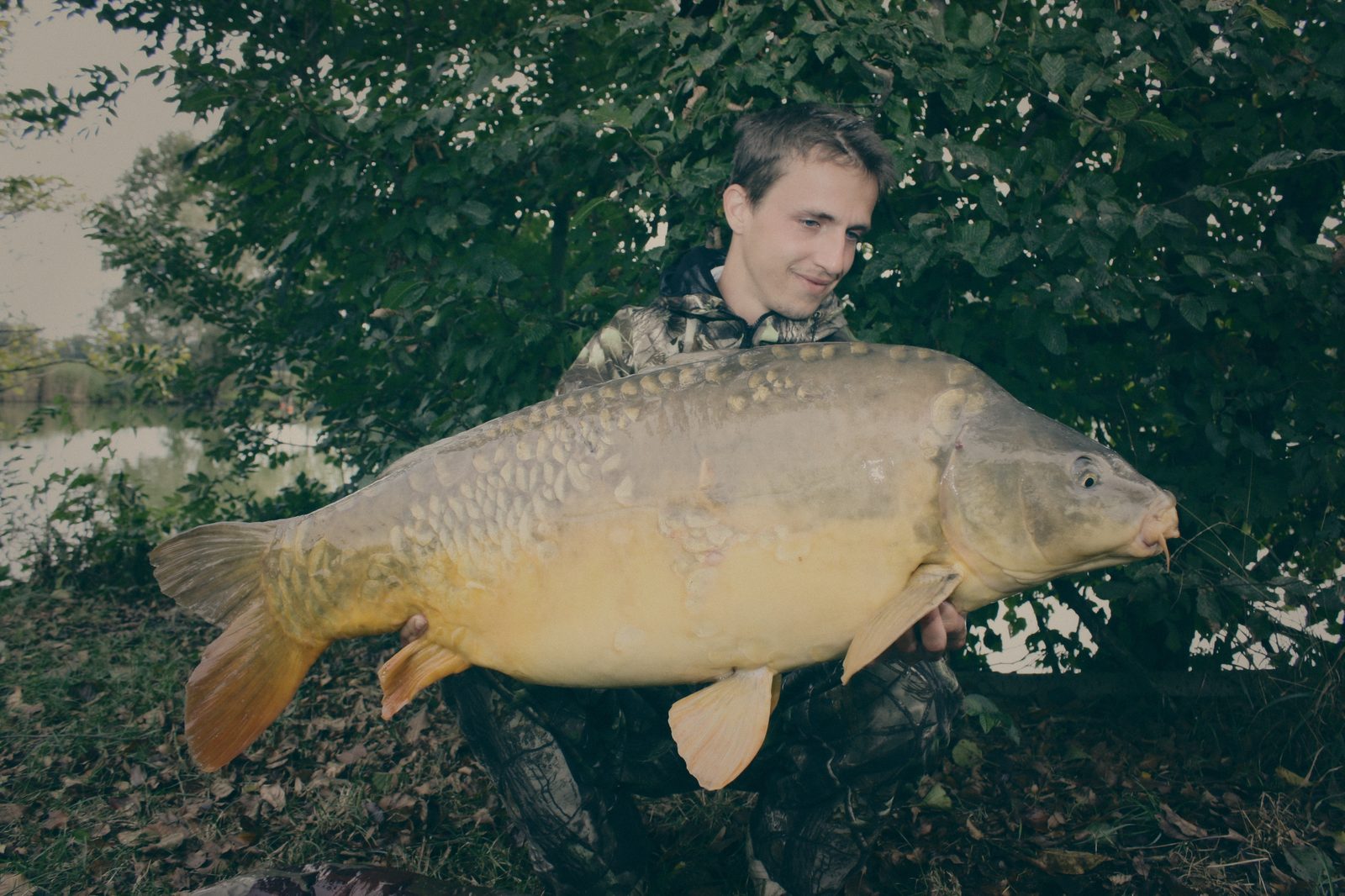 Styria Carp