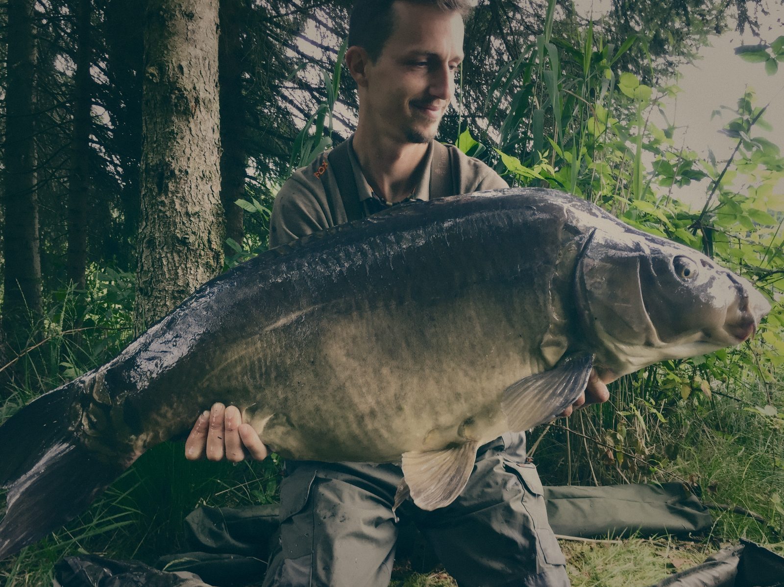 Styria Carp