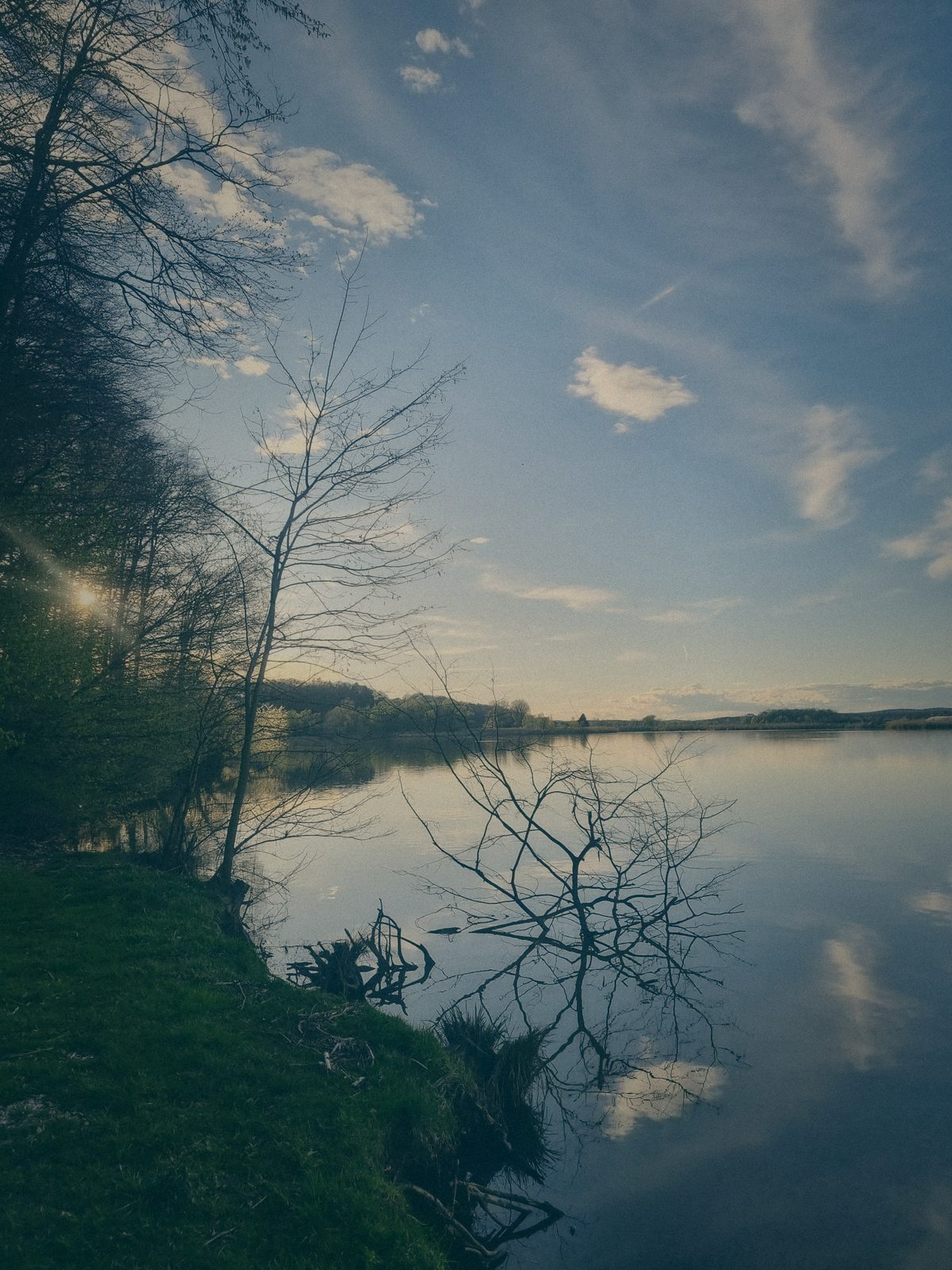 Styria Carp