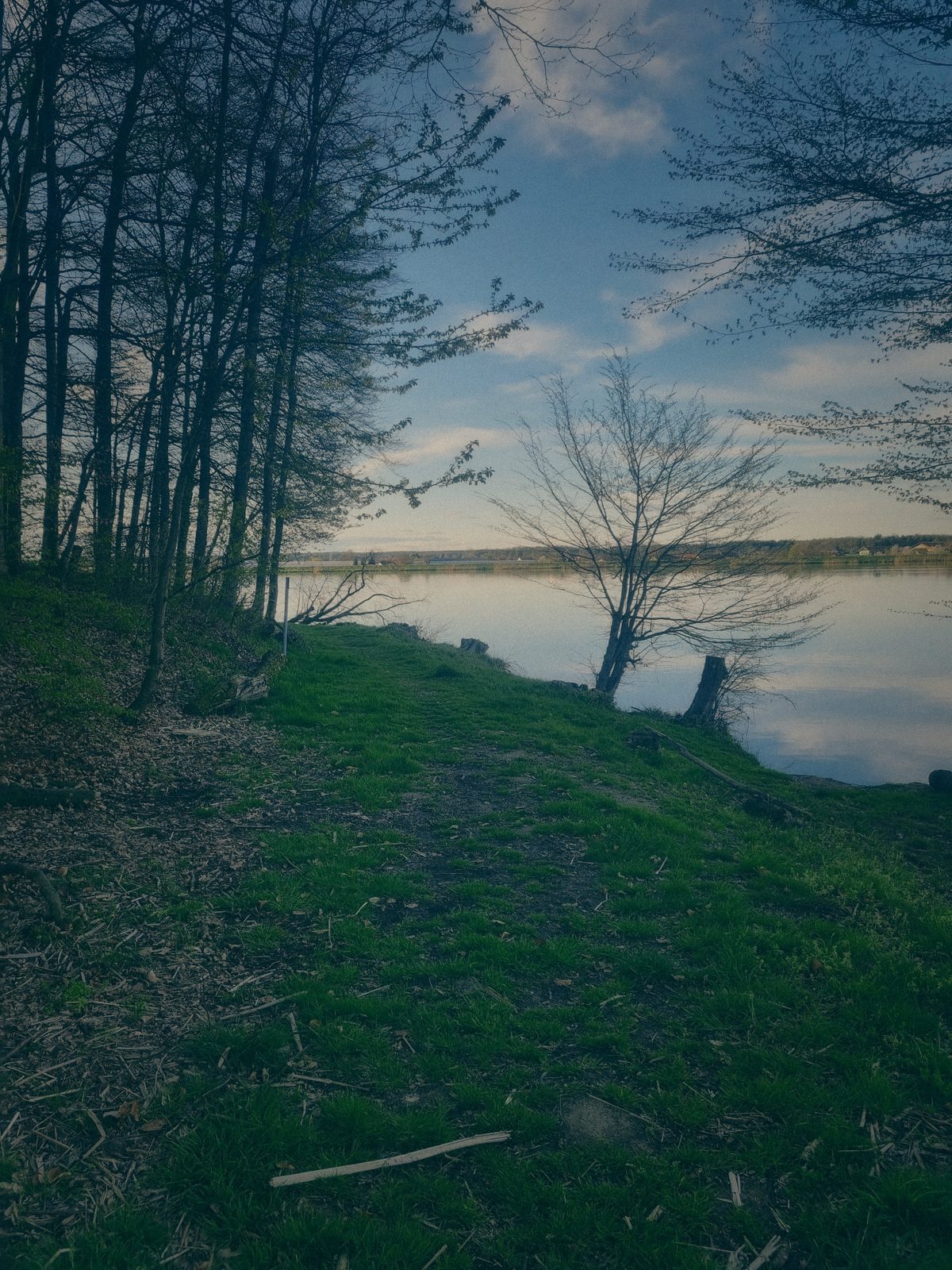 Styria Carp