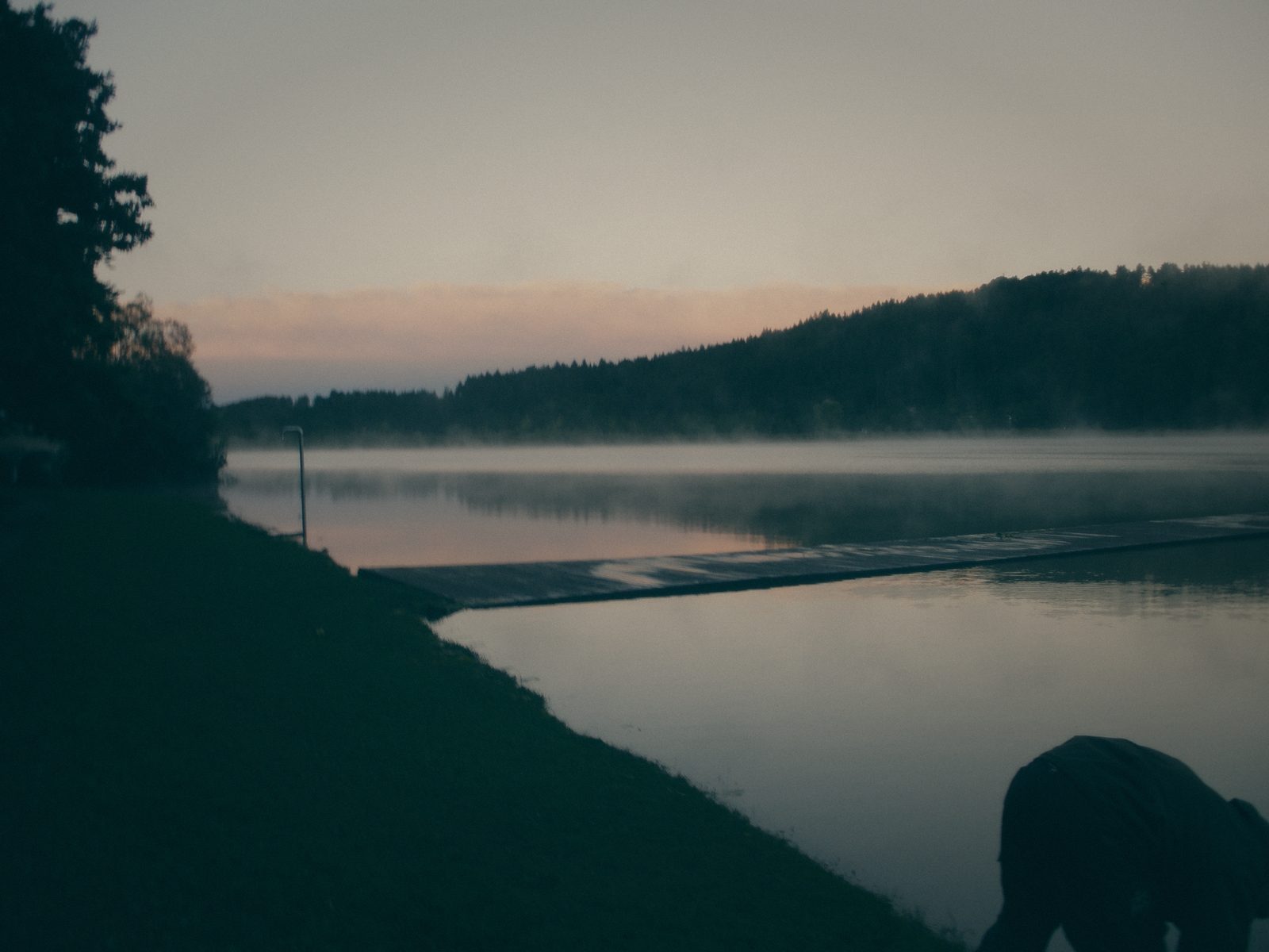 Styria Carp