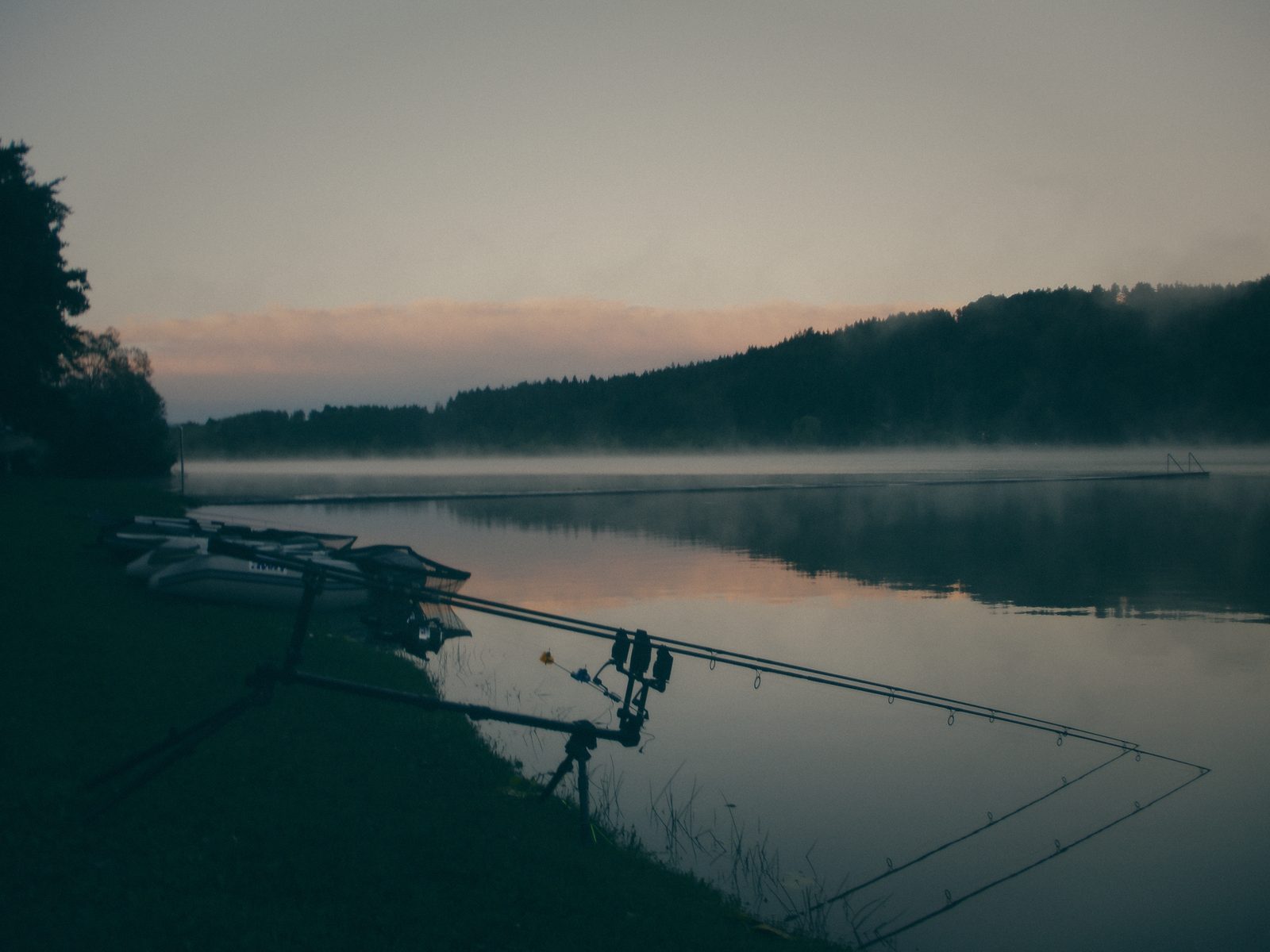 Styria Carp