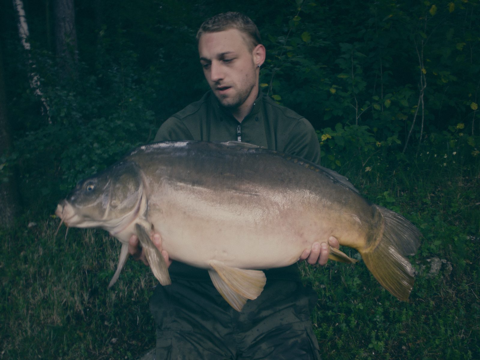 Styria Carp