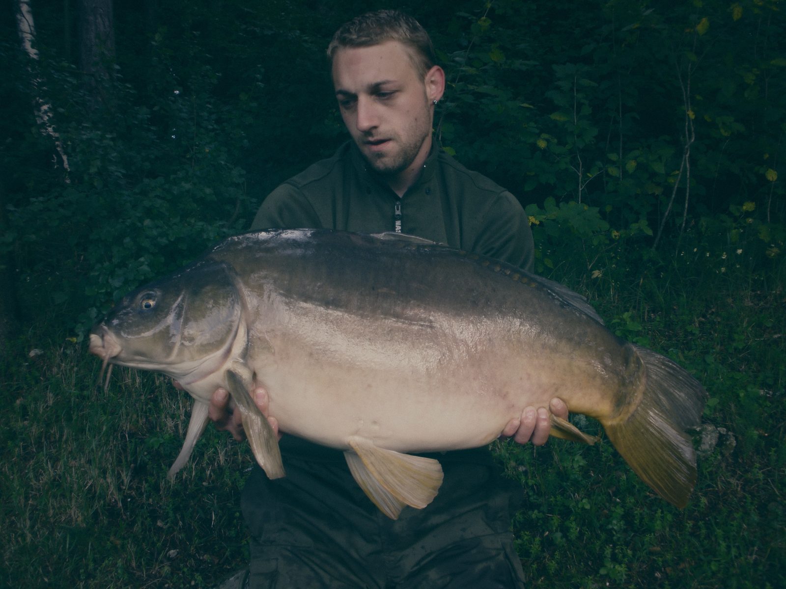 Styria Carp