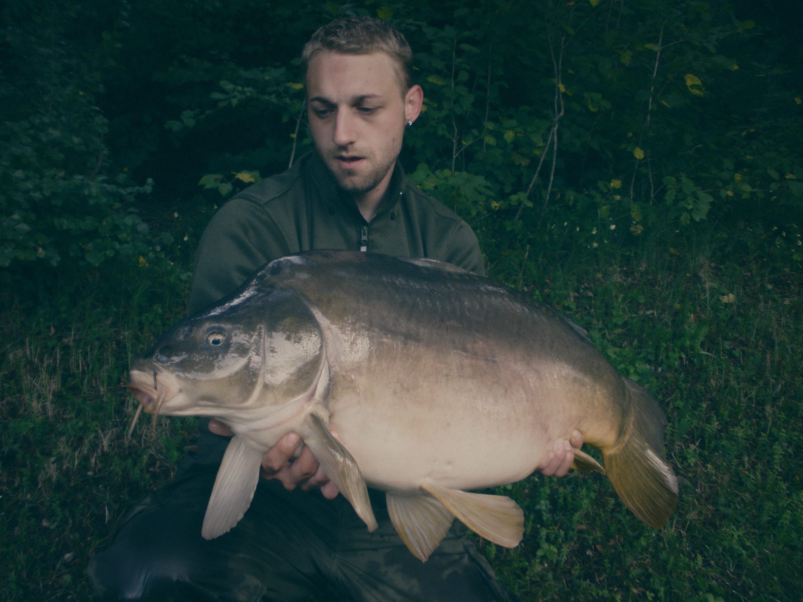 Styria Carp