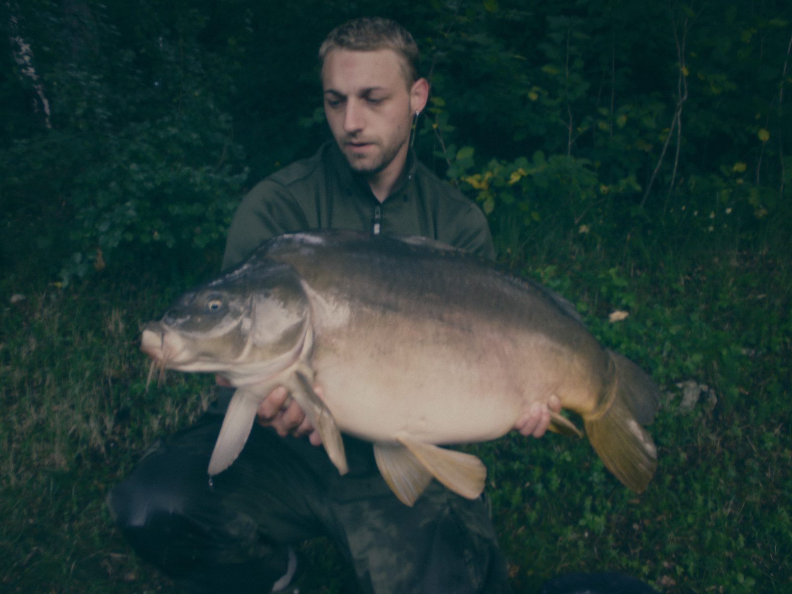 Styria Carp
