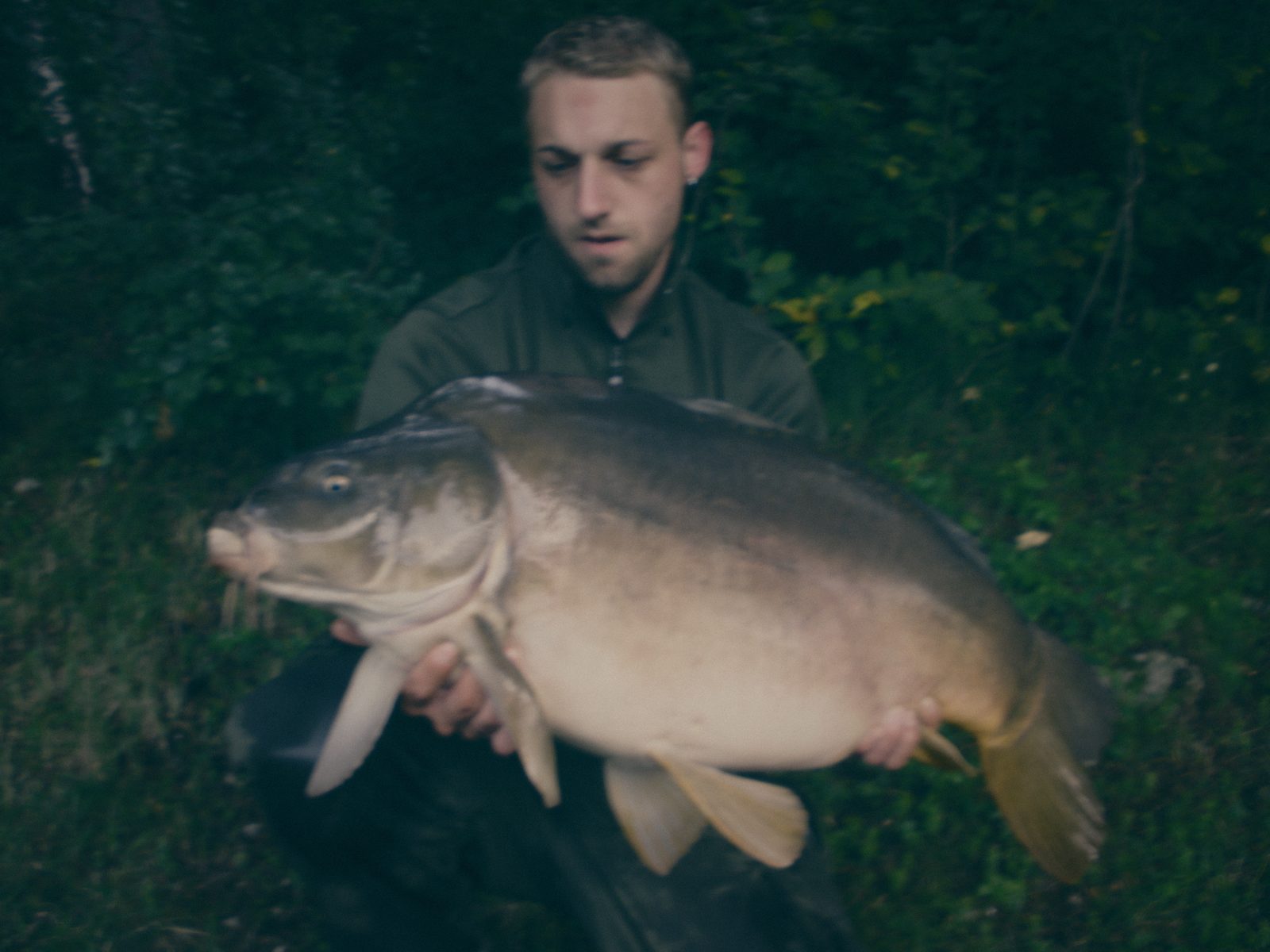 Styria Carp
