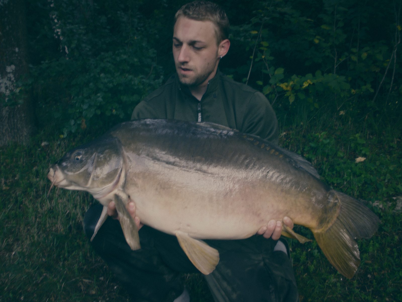 Styria Carp