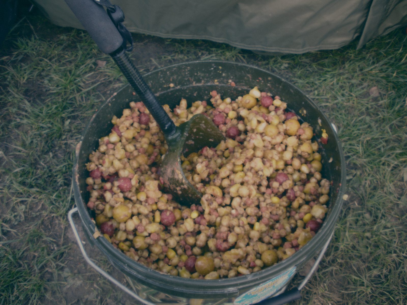 Styria Carp