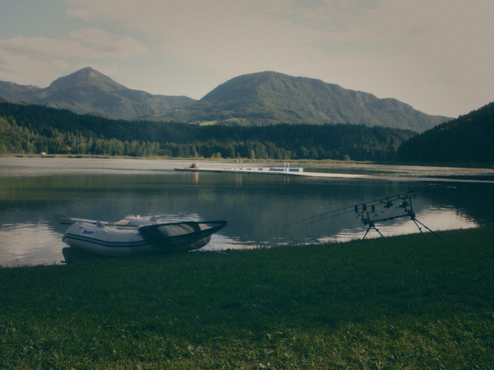 Styria Carp
