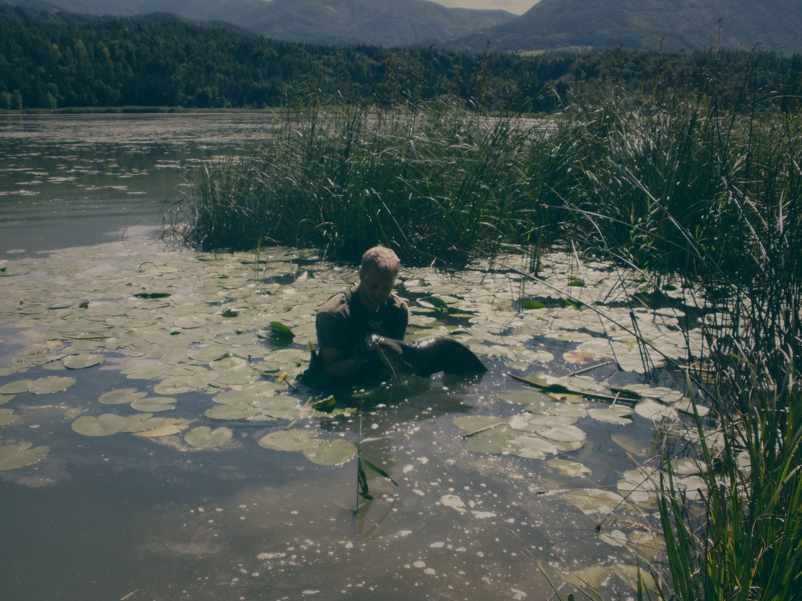Styria Carp