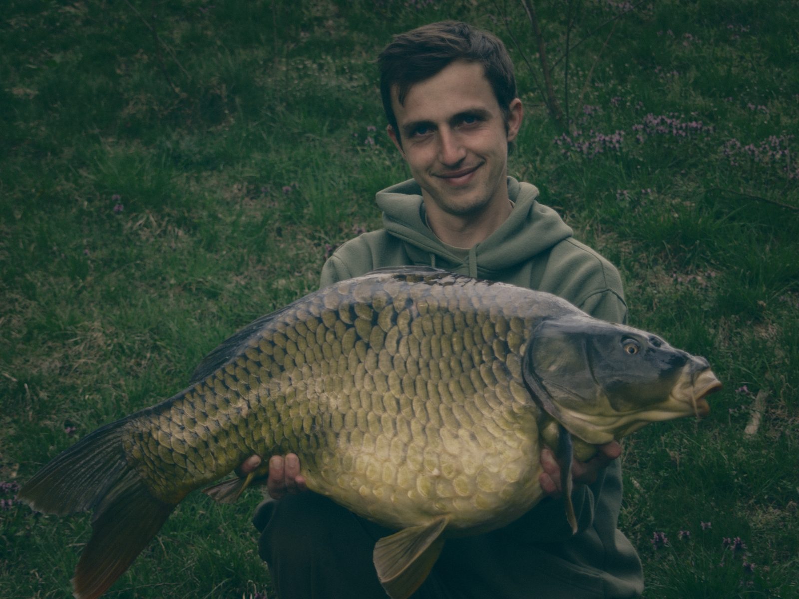Styria Carp