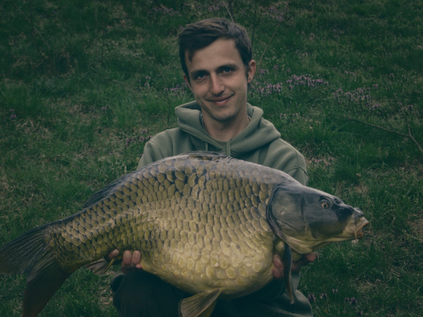 Styria Carp