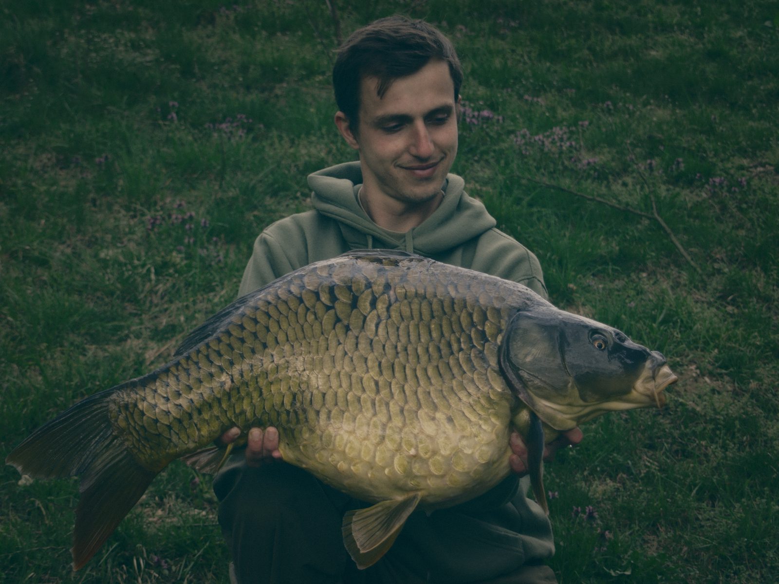 Styria Carp