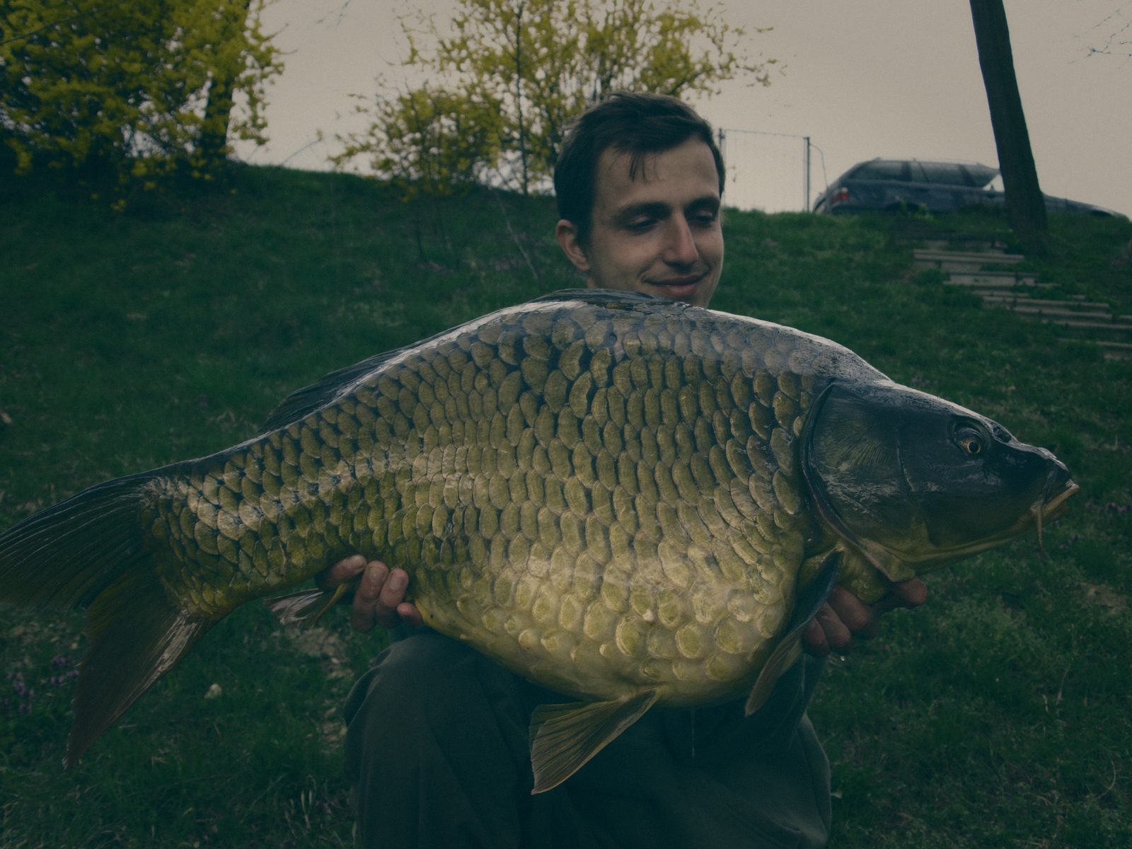 Styria Carp