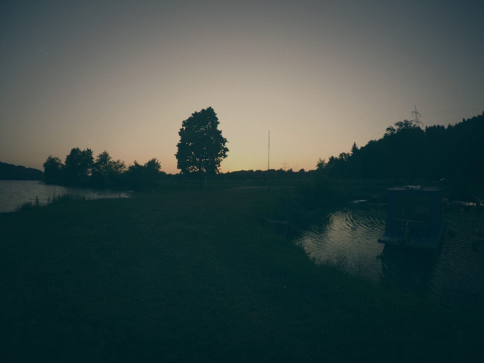 Styria Carp