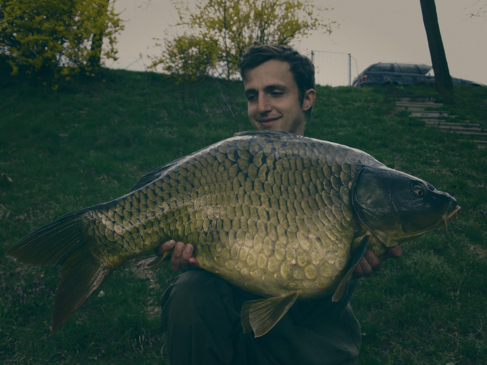 Styria Carp