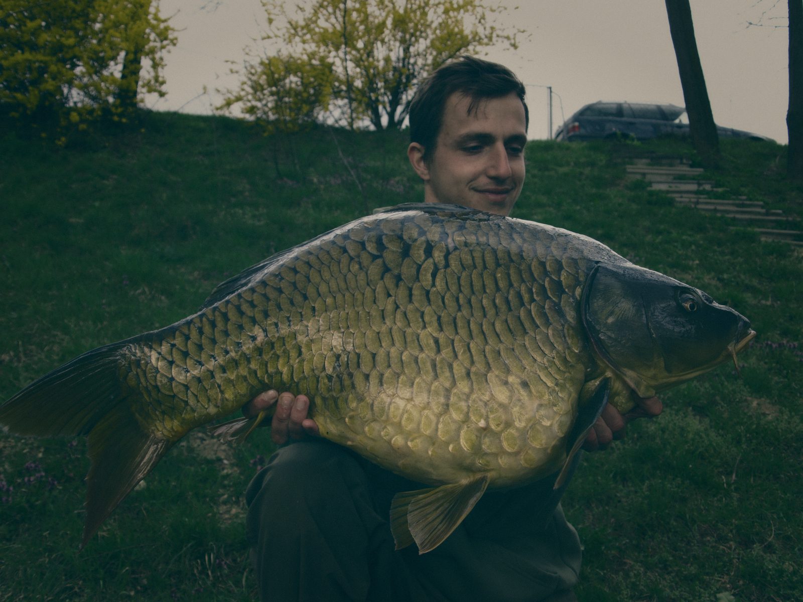 Styria Carp