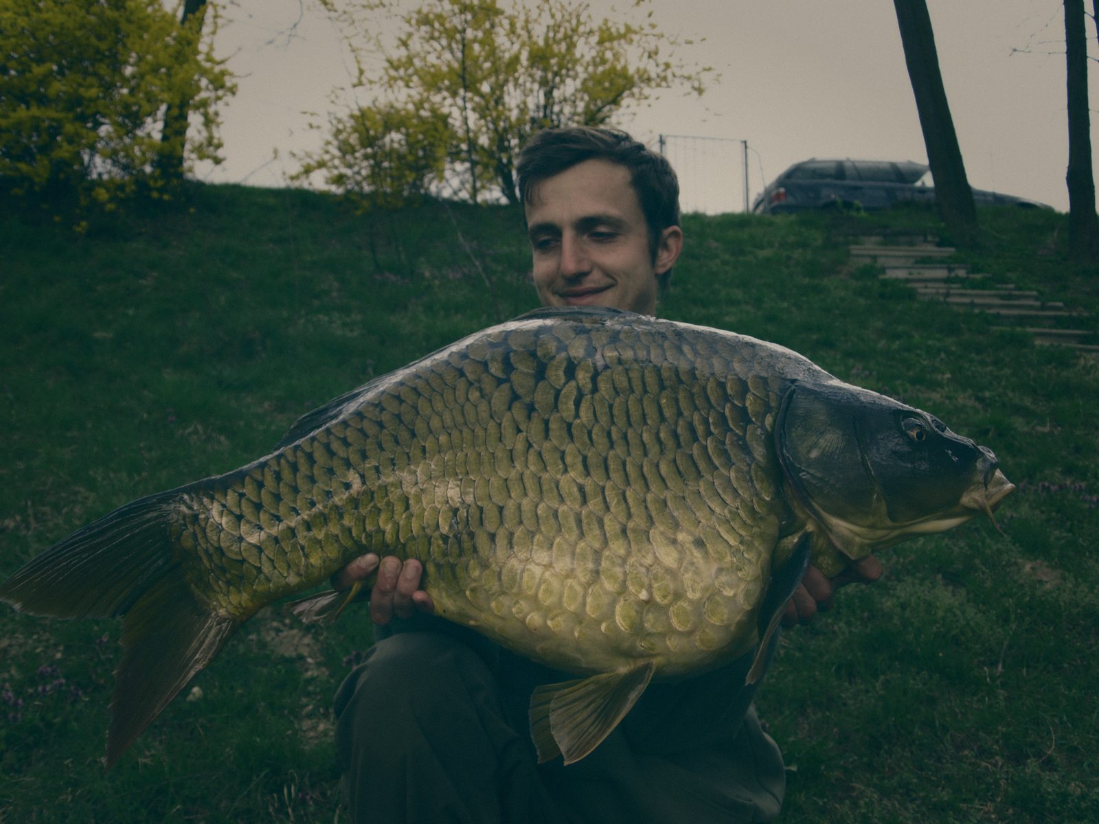 Styria Carp