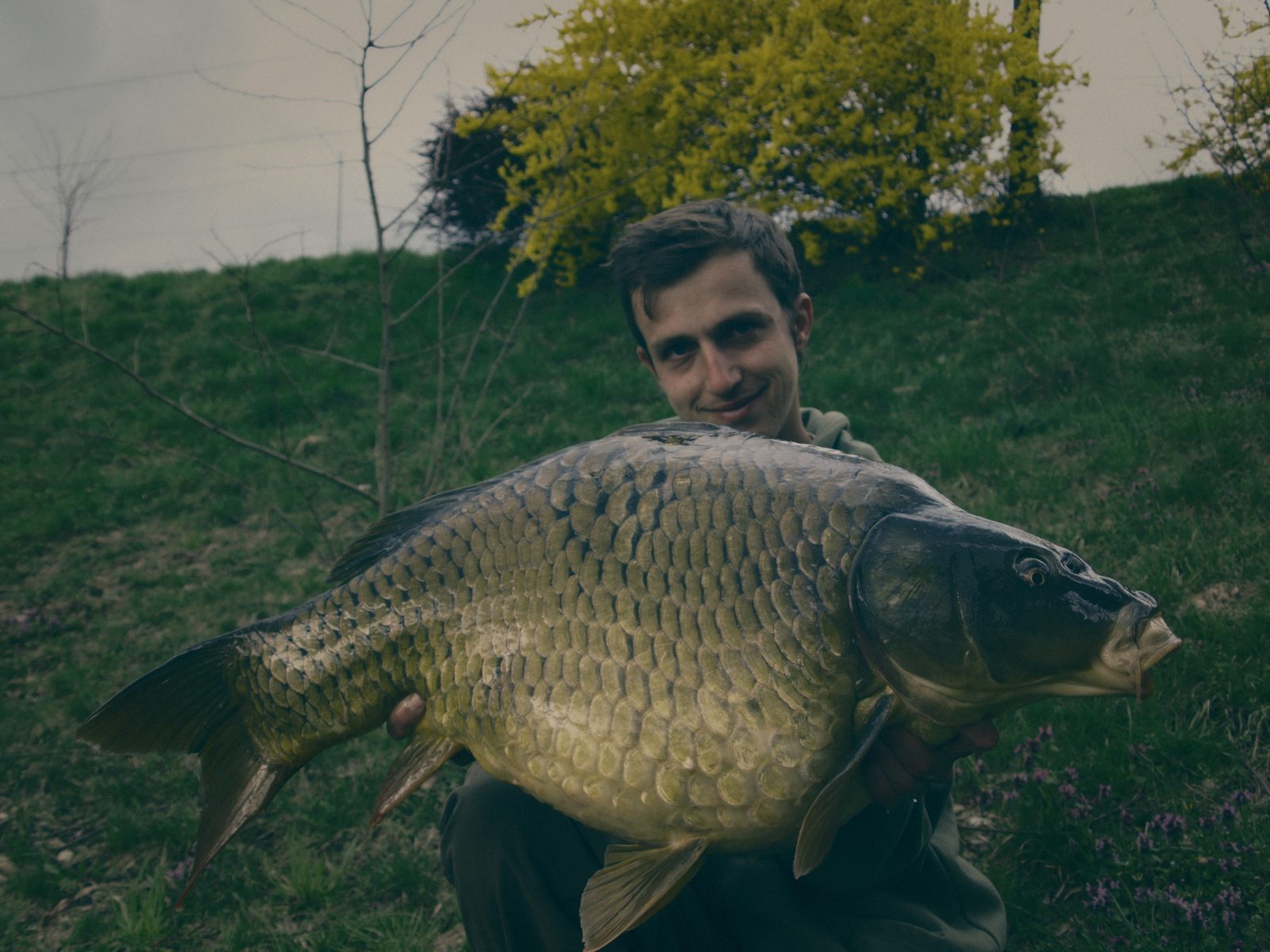 Styria Carp