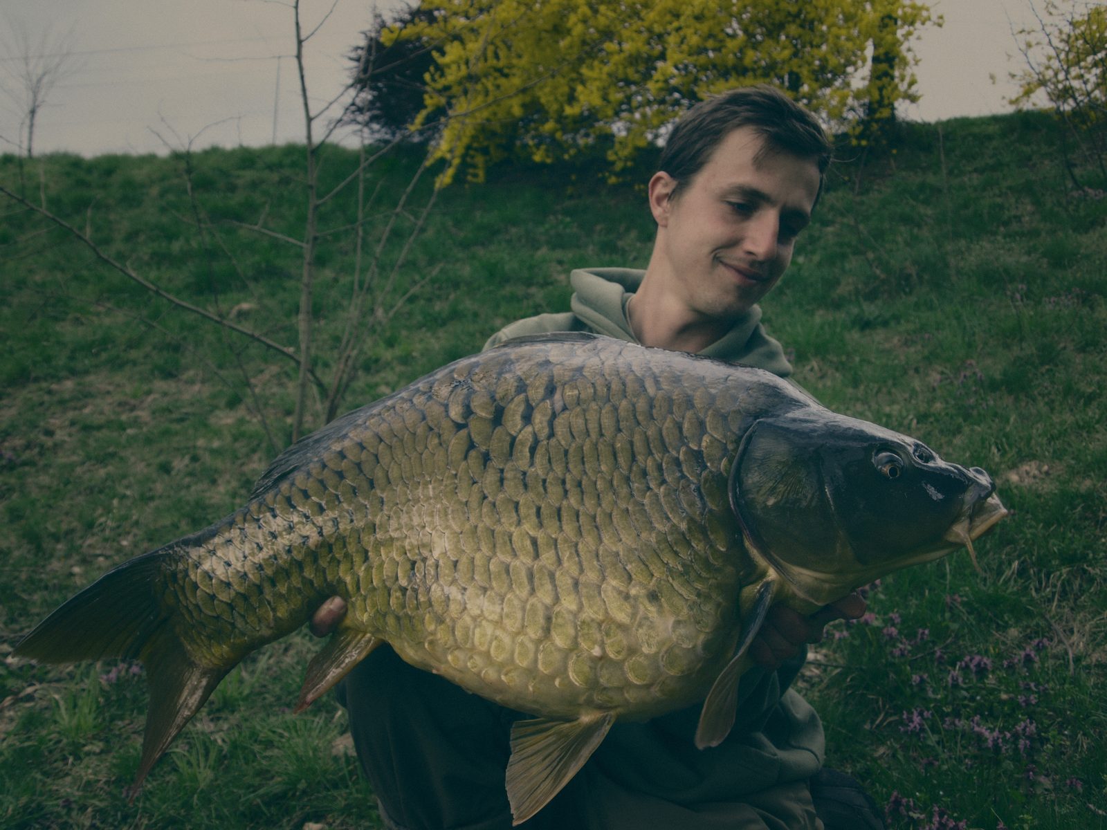 Styria Carp