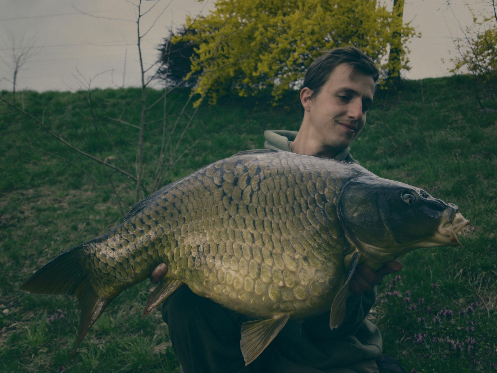 Styria Carp