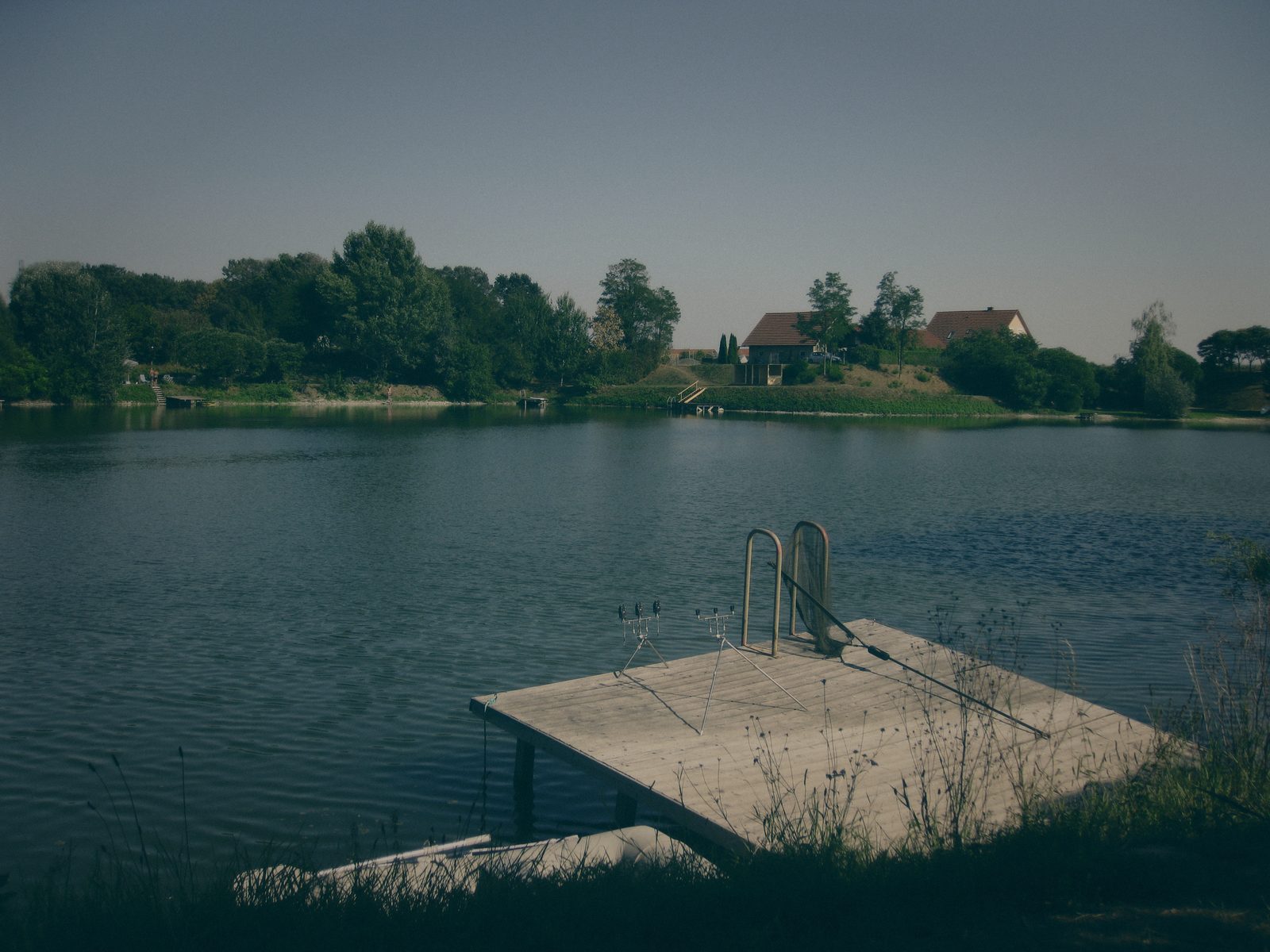 Styria Carp 0000