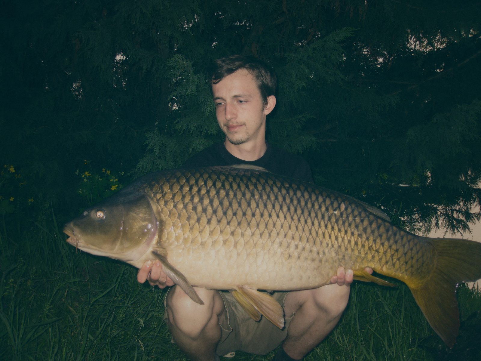 Styria Carp 0000