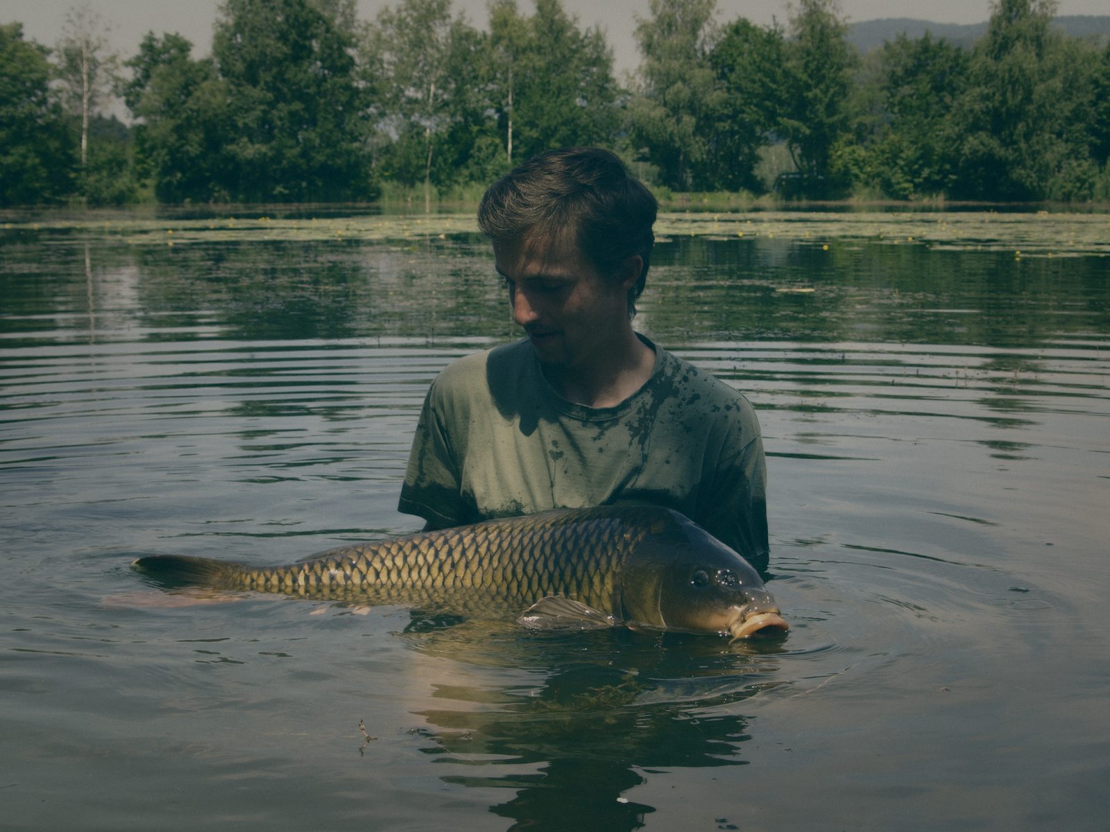 Styria Carp