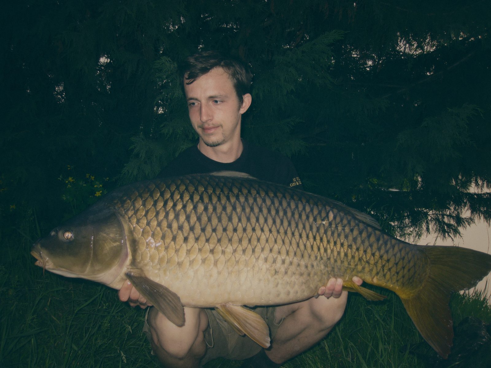 Styria Carp 0000