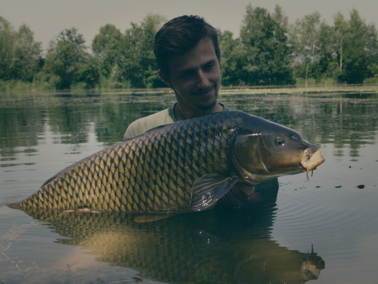 Styria Carp
