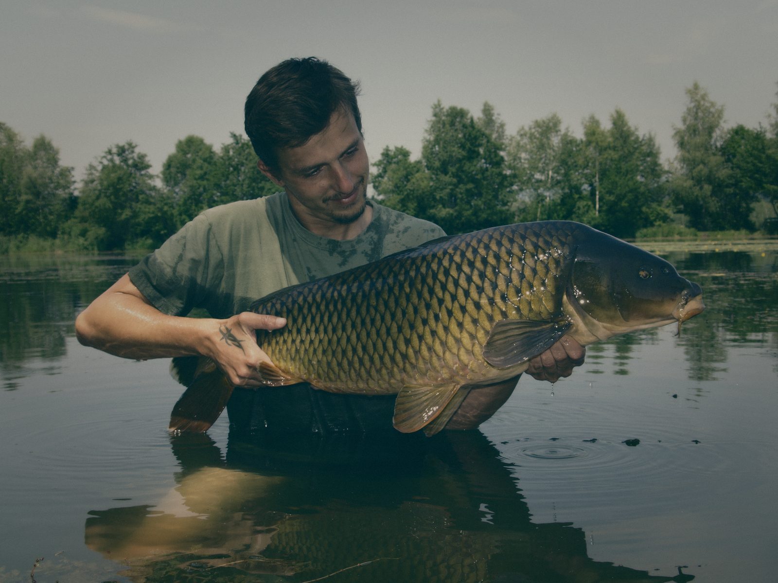 Styria Carp