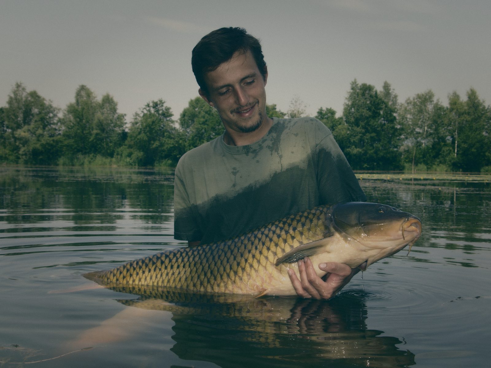 Styria Carp
