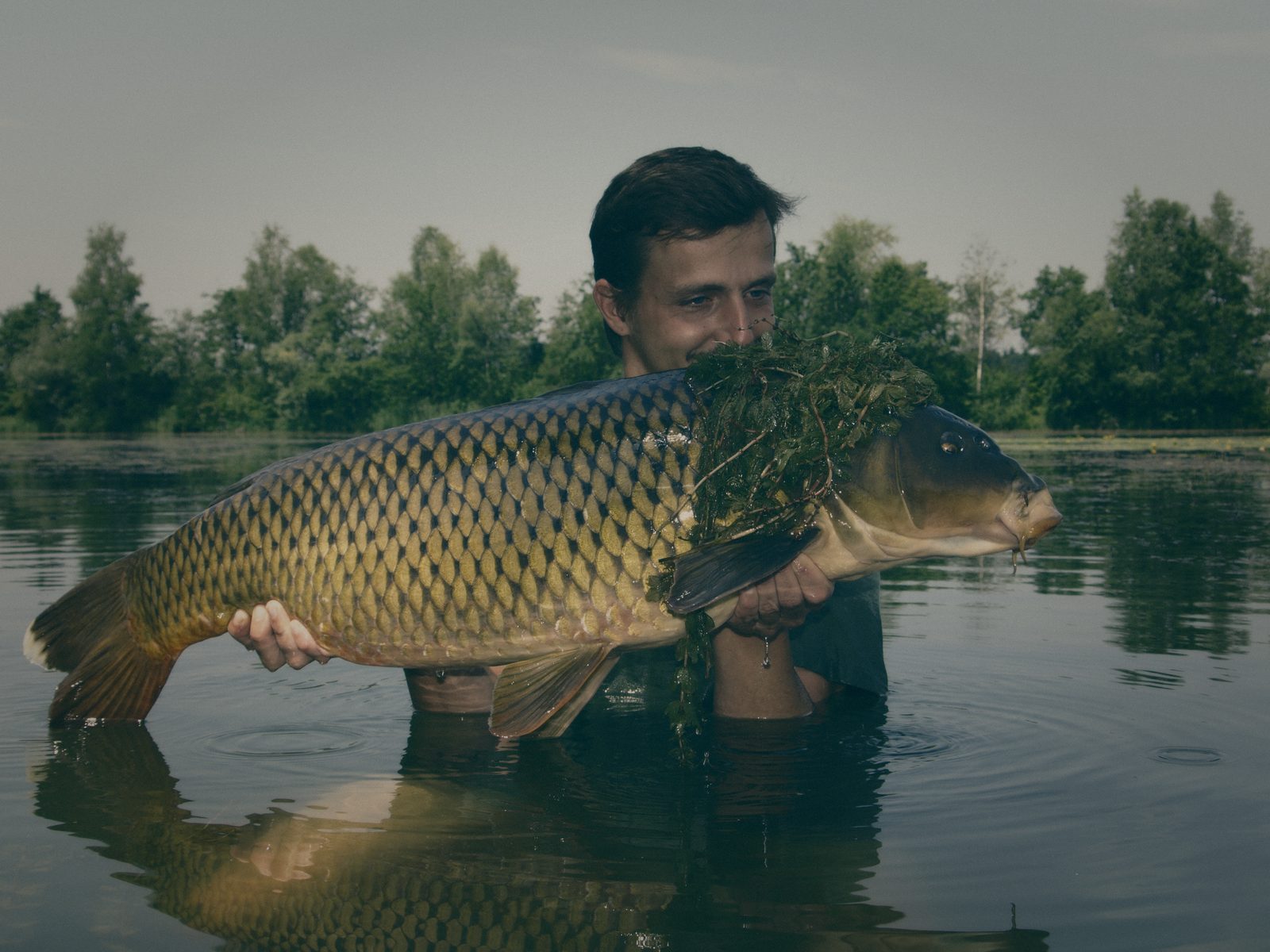 Styria Carp