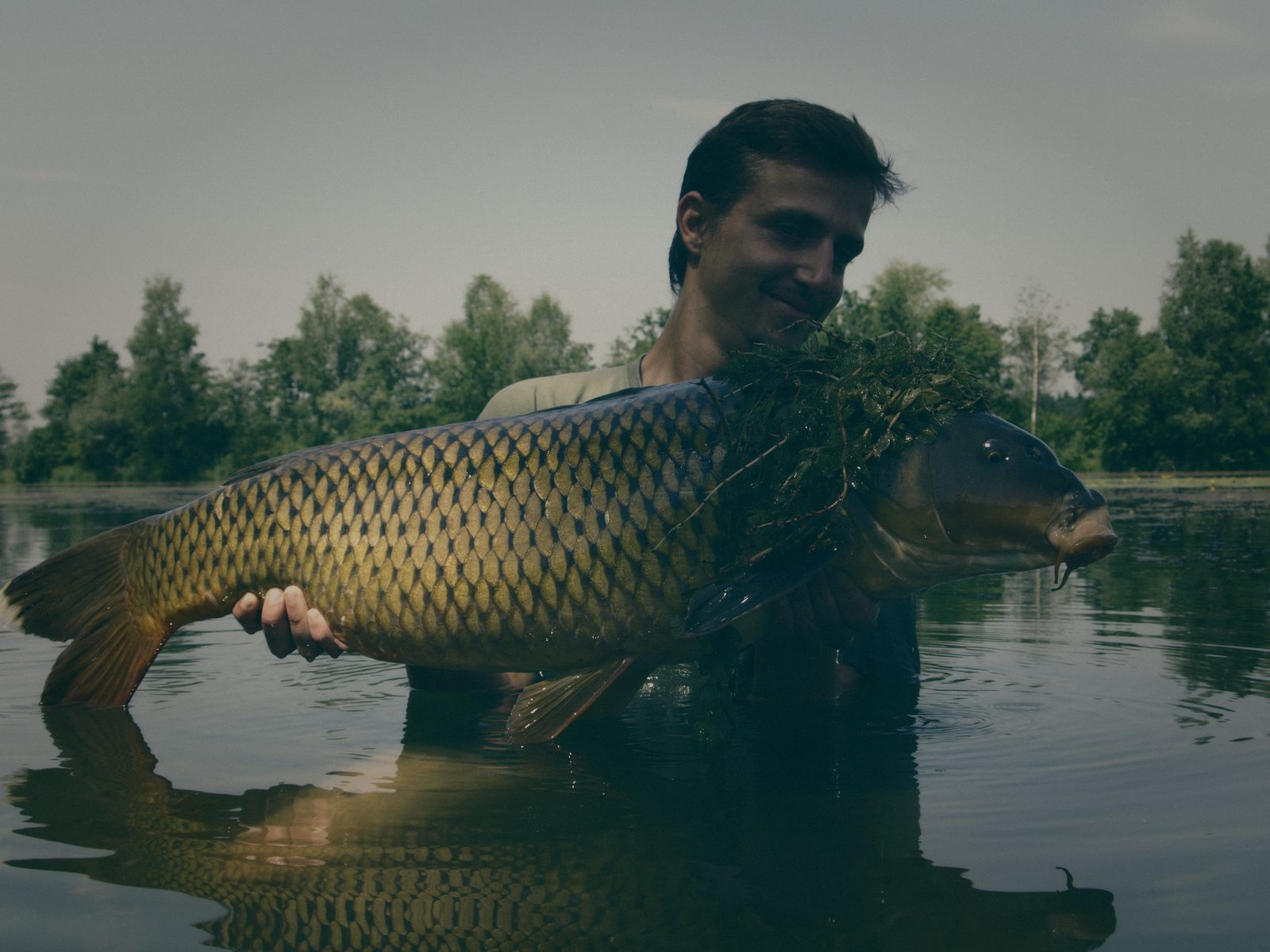 Styria Carp