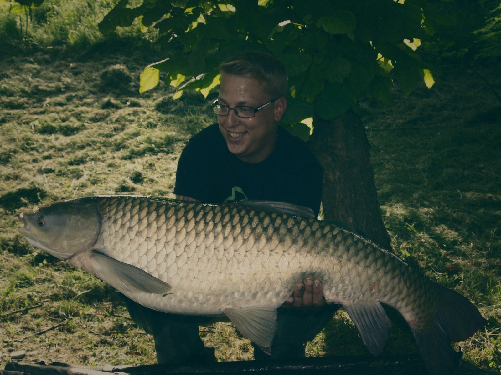 Styria Carp