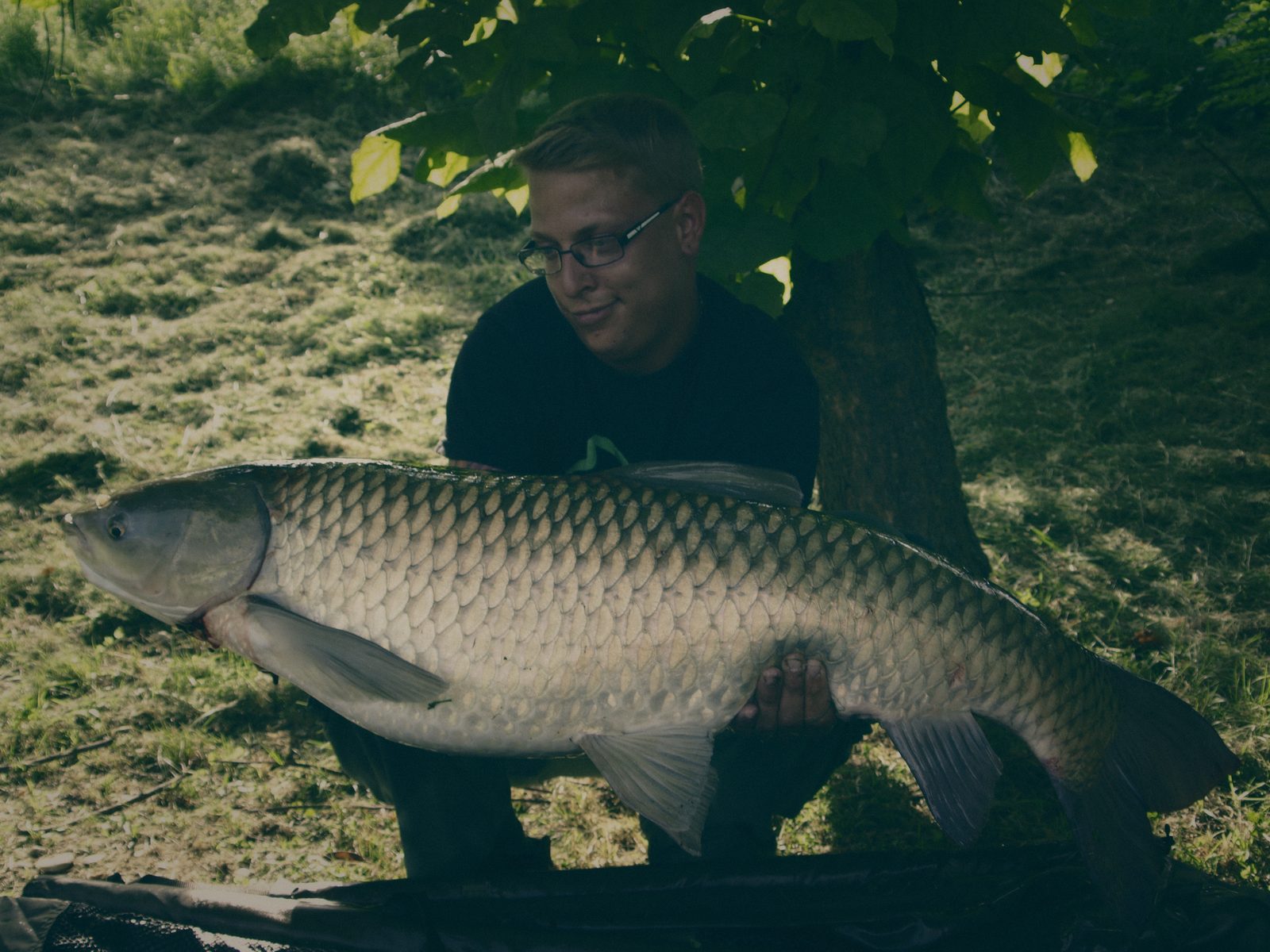 Styria Carp