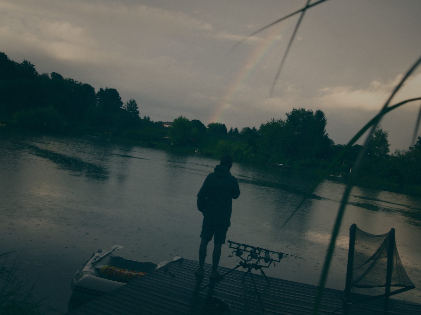 Styria Carp