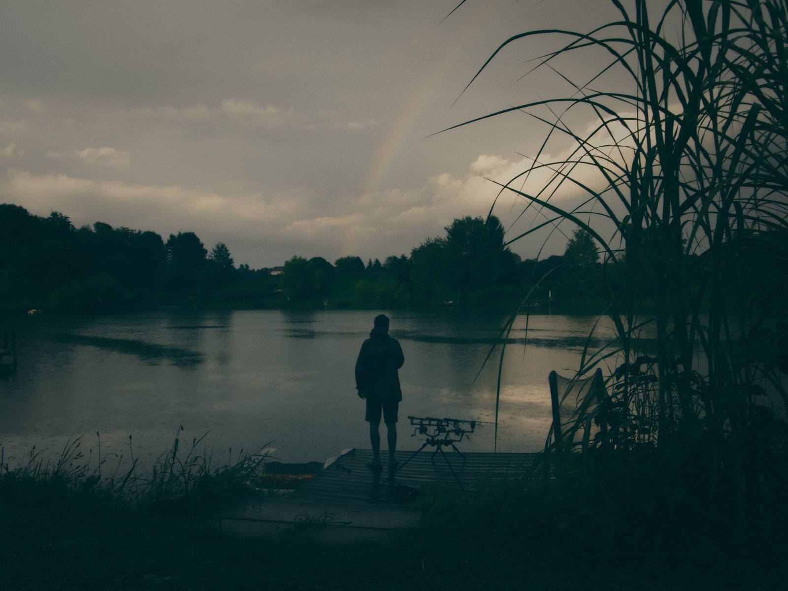 Styria Carp