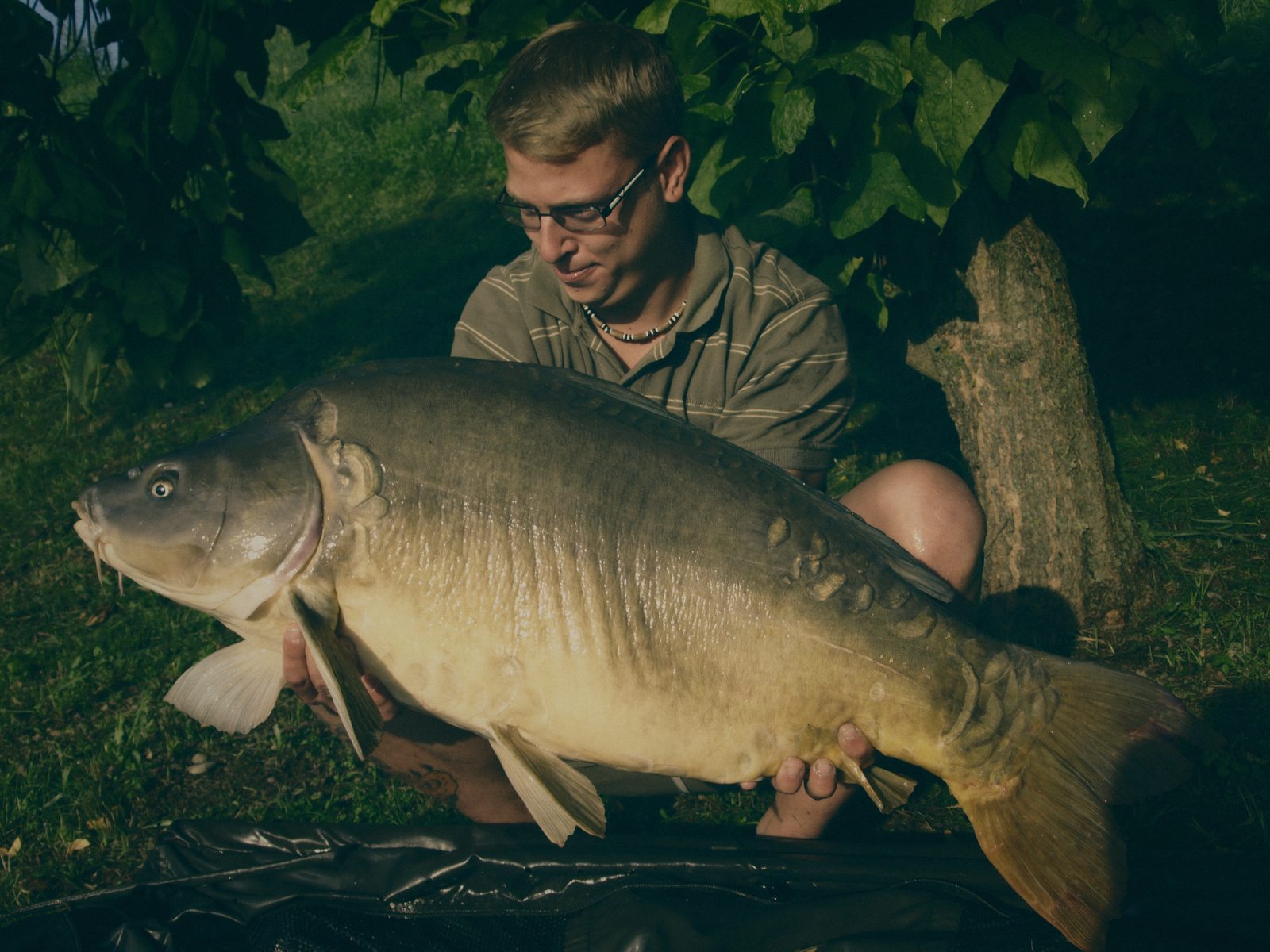 Styria Carp