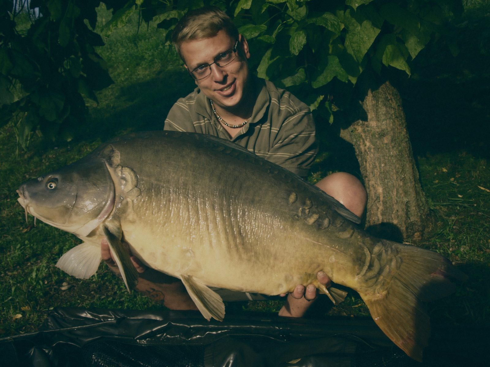 Styria Carp