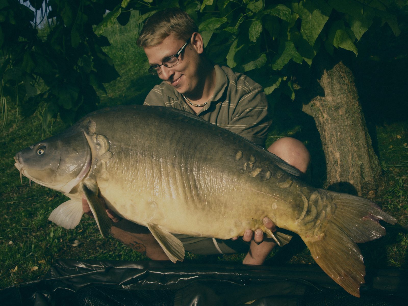 Styria Carp
